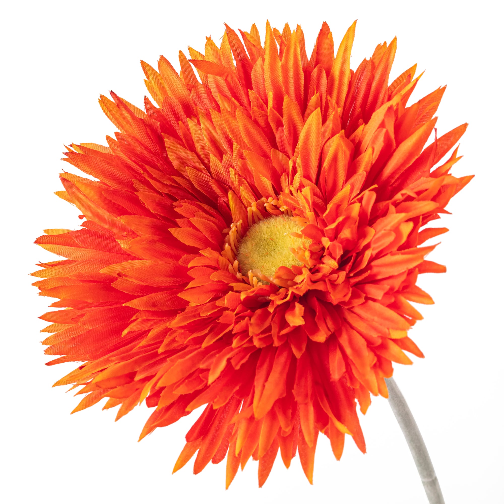 12 Pack: Orange Spider Gerbera Daisy Spray by Ashland®